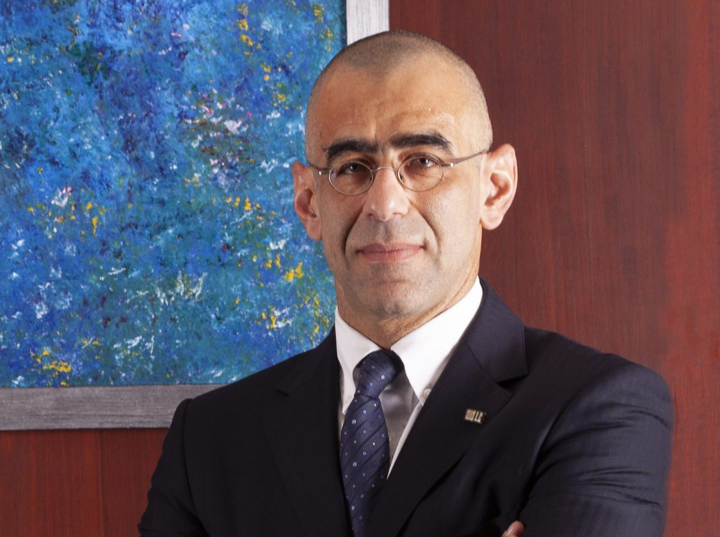 حسين أباظة، الرئيس التنفيذي وعضو مجلس الإدارة بالبنك