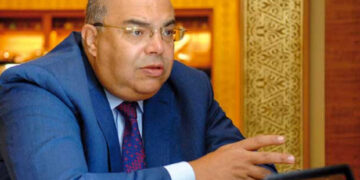 محمود محيي الدين، الخبير الاقتصادي المصري