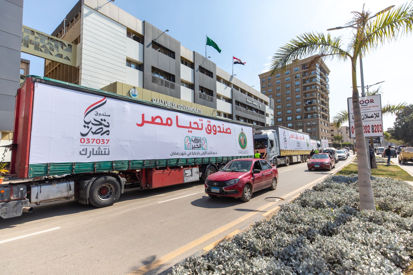 صندوق تحيا مصر يوفر 413 طن مواد غذائية لـ 170 ألف مواطن مستحق بالقليوبية