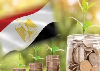 مصر تستهدف زيادة نسبة الاستثمارات العامة الخضراء لـ50% في 2024- 2025