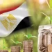 مصر تستهدف زيادة نسبة الاستثمارات العامة الخضراء لـ50% في 2024- 2025