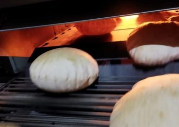 تموين دمياط: تحرير 1149 محضرًا لمخالفات متنوعة خلال أكتوبر الماضى