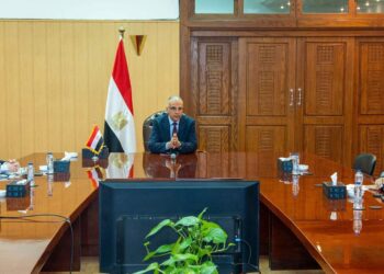 سويلم: مشروعات حماية الشواطئ تهدف لمواجهة آثار تغير المناخ