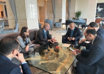 عصمت: دعم خطة الاعتماد على الطاقات المتجددة ومشروعات تخزين الطاقة النظيفة