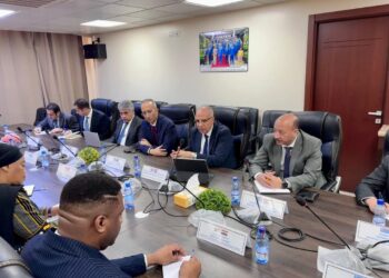 وزير الري يصل الكونغو ويلتقى وزيرة البيئة والتنمية المستدامة الكونغولية