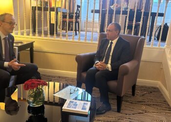 وزير الخارجية يدعو مسئولي الشركات البلجيكية لزيادة استثماراتها في مصر