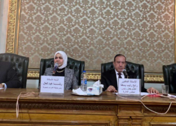 رشا عبد العال: التواصل الدائم مع مؤسسات المجتمع الضريبي والجمعيات العلمية والاقتصادية