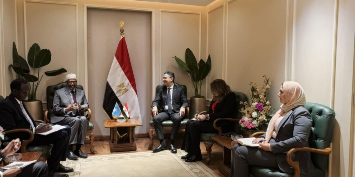 وزير التموين يستقبل وزير الزراعة الصومالي لبحث سبل التعاون المشترك