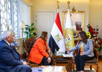 وزيرة التنمية المحلية تستقبل الرئيس التنفيذي لصندوق الإسكان الاجتماعي