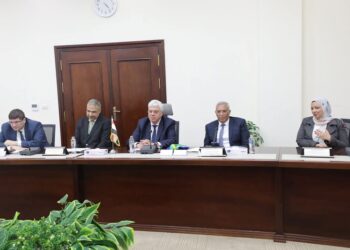 وزير التعليم العالي يبحث التعاون مع نظيره الجنوب إفريقي