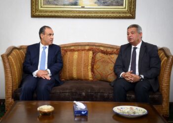 وزير الخارجية يلتقي رئيس المجلس الأعلى لتنظيم الإعلام