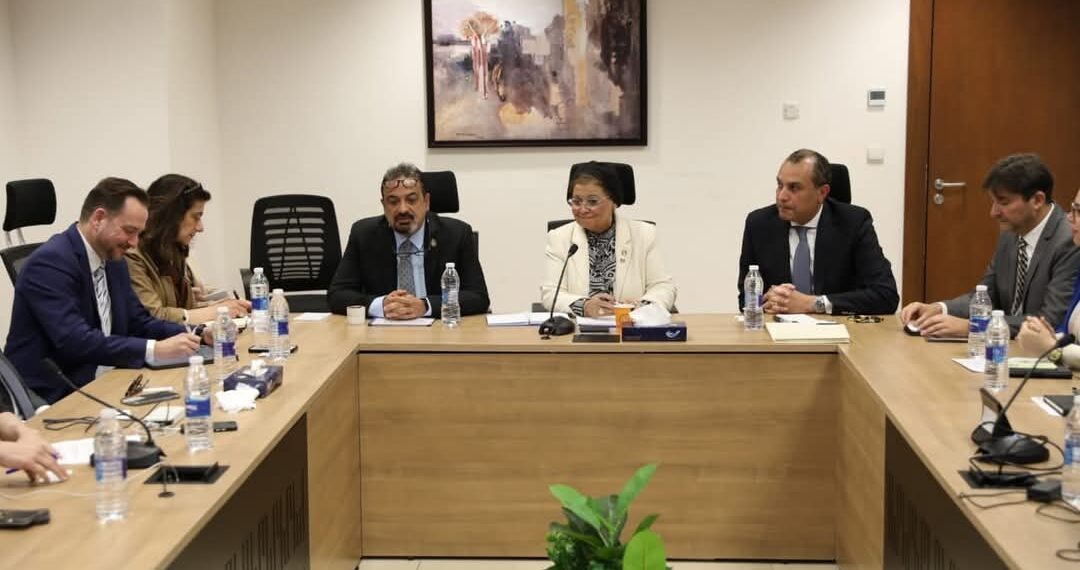 الصحة تبحث مع ميديف الدولية تعزيز الشراكة الصحية بين القاهرة وباريس   