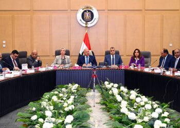 توجيهات بضخ استثمارات لاستغلال الباجاس في تصنيع الورق والأخشاب للحفاظ على البيئة 