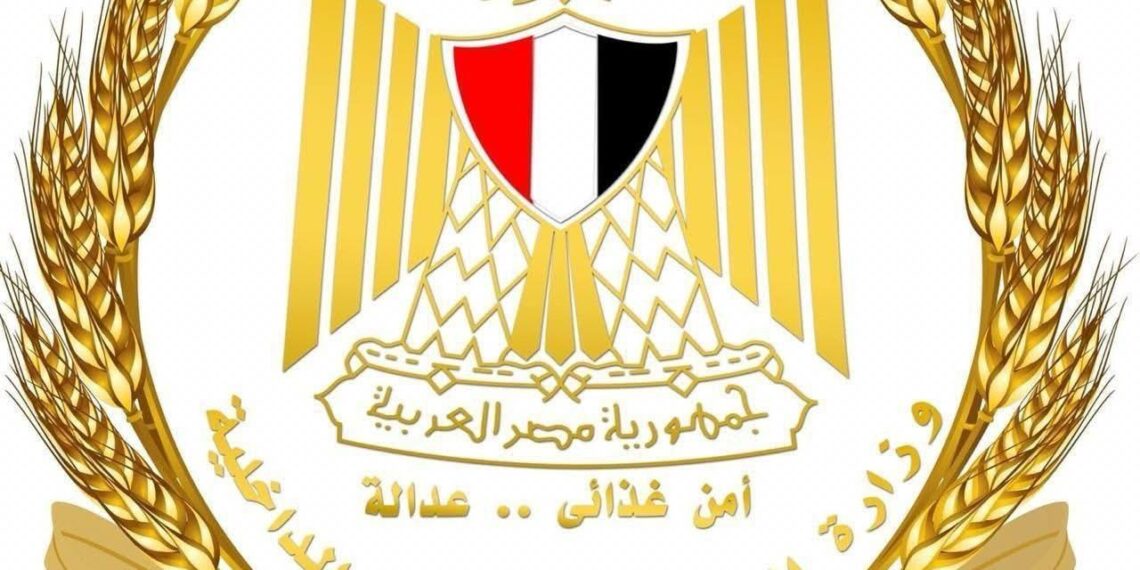 التموين: سعر مغرٍ لتوريد القمح المحلي أعلى من السعر العالمي