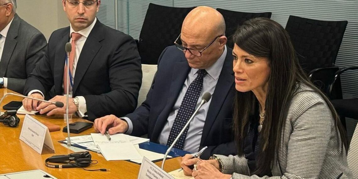 «المشاط»: ضرورة إعادة هيكلة النظام المالي وإصلاح منظومة المؤسسات الدولية