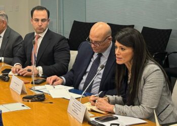 «المشاط»: ضرورة إعادة هيكلة النظام المالي وإصلاح منظومة المؤسسات الدولية