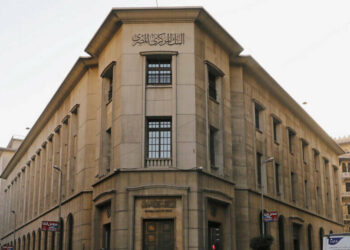 المركزي المصري: الشراكة بين القطاعين العام والخاص تخلق فرصاً للاقتصادات