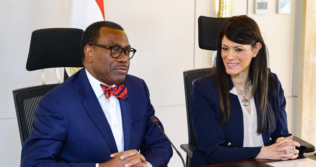 وزيرة التخطيط والتنمية الاقتصادية والتعاون الدولي تستقبل رئيس البنك الأفريقي للتنمية