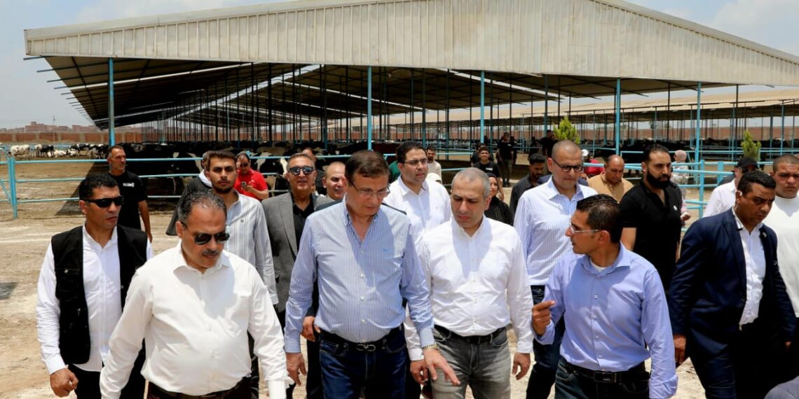 «الزراعي المصري» يمول شراء 2000 رأس ماشية لصغار المربين بالشرقية