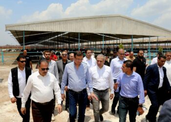 «الزراعي المصري» يمول شراء 2000 رأس ماشية لصغار المربين بالشرقية