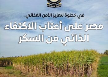 مصر على أعتاب الاكتفاء الذاتي من السكر بدءًا من 2026