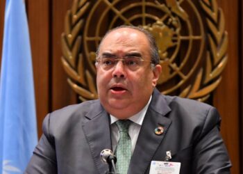 فريق خبراء الأمم المتحدة برئاسة محيي الدين يطرح 11 مقترحًا لإنهاء أزمة الديون العالمية