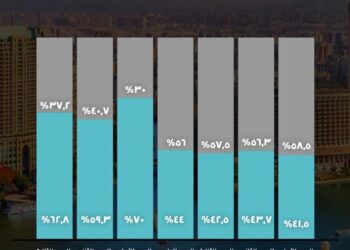 القطاع الخاص يقود دفة الاستثمار في مصر خلال الربع الثالث من العام المالي
