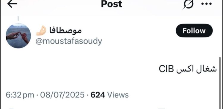 رغم تداعيات حريق سنترال رمسيس… إشادات بخدمات CIB وفودافون وسط توقف واسع للخدمات
