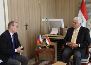 التعليم العالي: المؤسسات التعليمية المصرية لديها خبر في برامج الشراكة الأكاديمية والبحثية