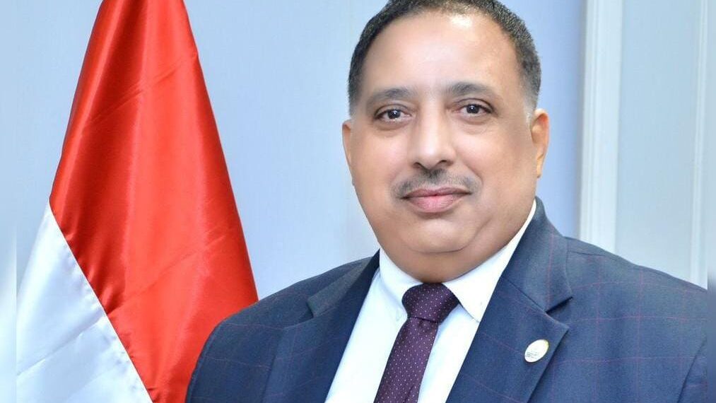 السلاموني: الصوامع الحديثة وزيادة سعر القمح المحلى وراء انخفاض واردات مصر