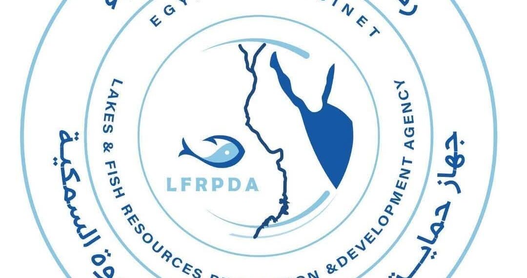 حماية وتنمية البحيرات يطلق الدفعة الثالثة من يرقات الجمبري بالفيوم