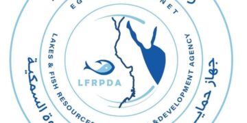 حماية وتنمية البحيرات يطلق الدفعة الثالثة من يرقات الجمبري بالفيوم