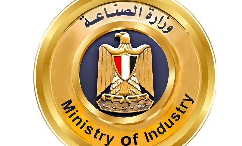 وزارة الصناعة تنفي إلغاء بروتوكول الشحن الصيني للسيارات الكهربائية