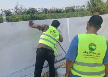 «مستقبل وطن» يقود حملة لصيانة وتجميل مدارس منشأة القناطر