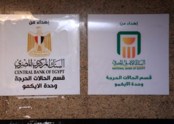 البنك الأهلي يخصص 60 مليون جنيه لدعم وحدة الإيكمو بالقصر العيني
