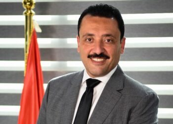 محمد رزق ينضم إلى لجنة الشؤون الخارجية والعربية والأفريقية بمجلس الشيوخ