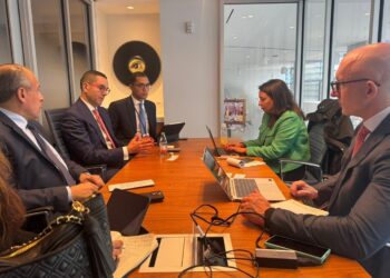 وزير الاستثمار والتجارة الخارجية يلتقي مسؤولي فيتش في واشنطن