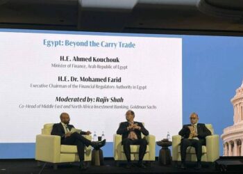 كجوك: دمج مراجعتى صندوق النقد يعكس الأداء الفعلي.. و3 إلى 4 طروحات سنويًا لتعزيز الاستثمار