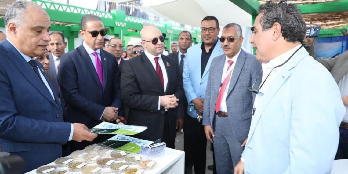 2.5 مليون دولار استثمارات في أول محطة مصرية لتعقيم النباتات الطبية بالطاقة النظيفة