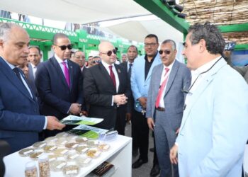 2.5 مليون دولار استثمارات في أول محطة مصرية لتعقيم النباتات الطبية بالطاقة النظيفة