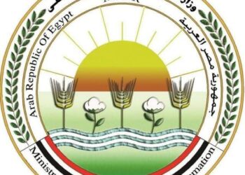 الزراعة تطلق حملات توعوية مكثفة لتعزيز الأمن الحيوي في قطاع الدواجن