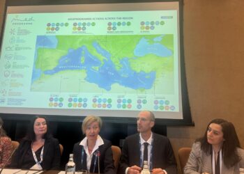 مصر تدعو لتعزيز الحوكمة والرصد البحري في فعاليات اليوم الثاني لـ COP24