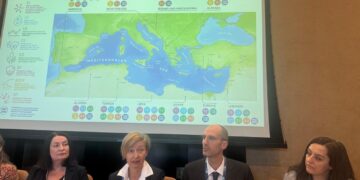 مصر تدعو لتعزيز الحوكمة والرصد البحري في فعاليات اليوم الثاني لـ COP24