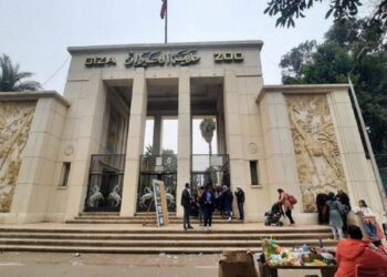 بدء التشغيل التجريبي لحديقة الحيوان وحديقة الأورمان العام المقبل