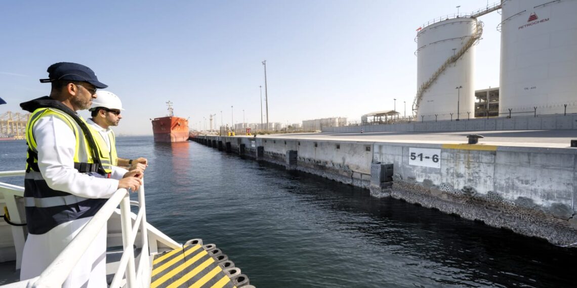 دي بي ورلد تُركّب أوّل 1,000 لوح من الهياكل البحرية الحيّة في ميناء جبل علي