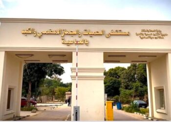 الصحة: تقديم 19.2 مليون خدمة طبية بالمنشآت بالقاهرة