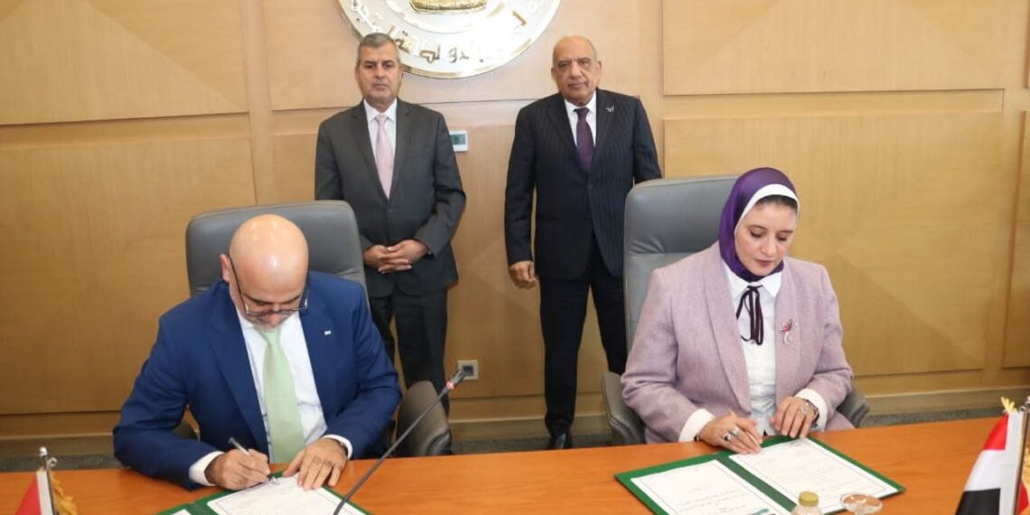 مصر والأردن تجددان عقد تبادل الطاقة الكهربائية لعام 2026