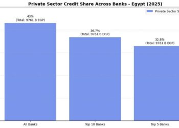 43% من القروض للقطاع الخاص.. البنوك المصرية تدعم النشاط الاقتصادي المستدام
