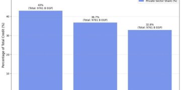 43% من القروض للقطاع الخاص.. البنوك المصرية تدعم النشاط الاقتصادي المستدام