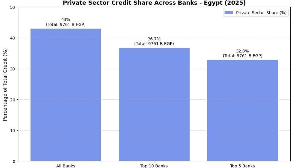 43% من القروض للقطاع الخاص.. البنوك المصرية تدعم النشاط الاقتصادي المستدام